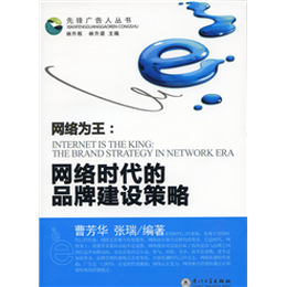 网络时代的品牌建设策略