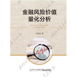 金融风险价值量化分析