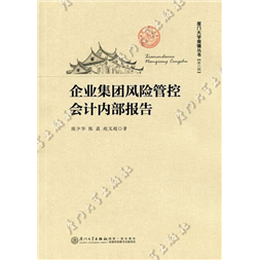 企业集团风险管控会计内部报告