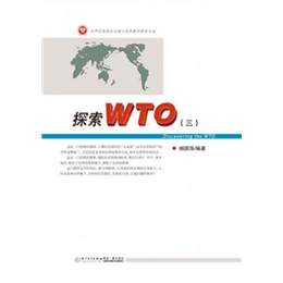 探索WTO（三）