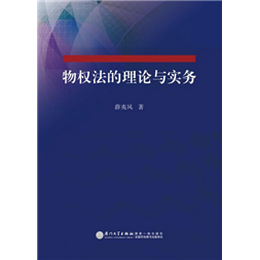 物权法的理论与实务