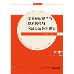 要素异质视角的技术选择与区域发展效率研究