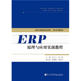 ERP原理与应用实训教程